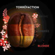cafe-en-grains-bio-carte-noire-selection-honduras-500-gr